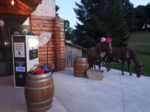 anniversaire prestataire photobooth